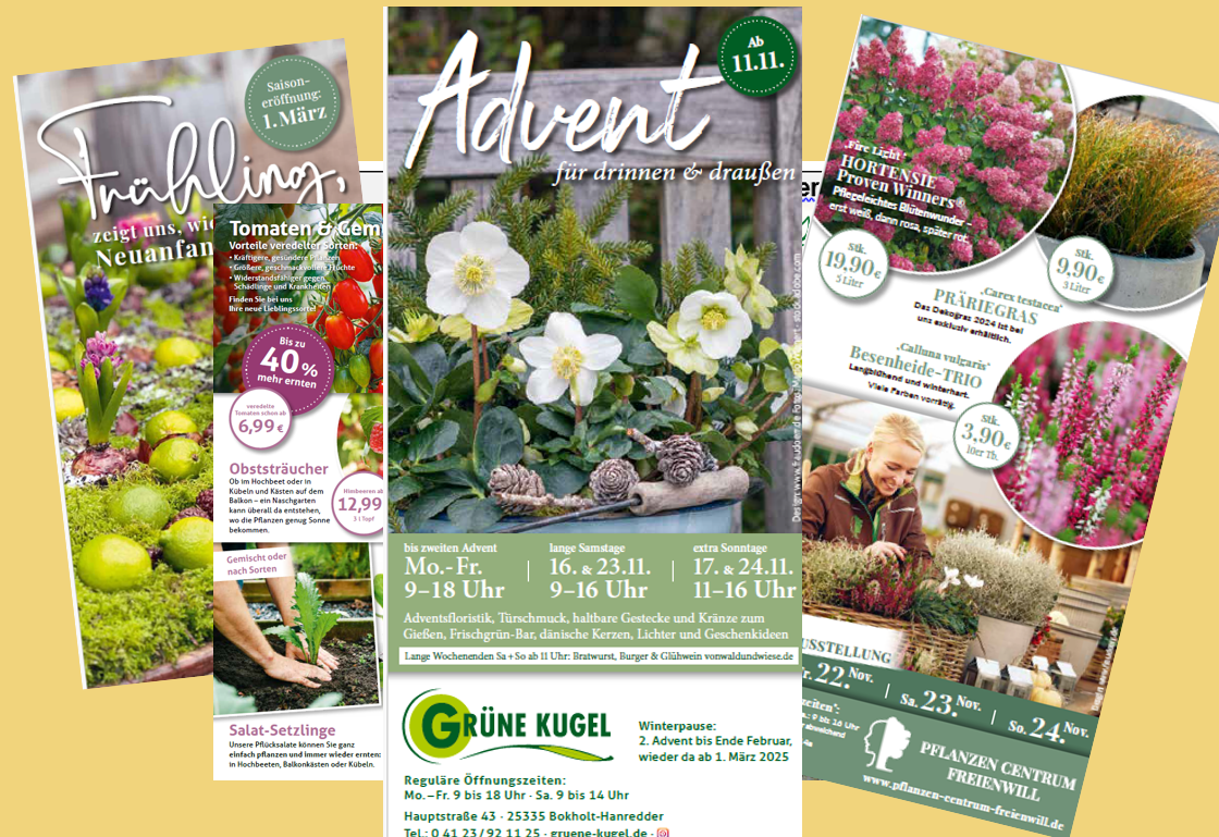 Arbeitsbeispiele Flyer FlowerPower